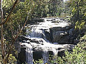 Agnes Falls in Sth Gippsland